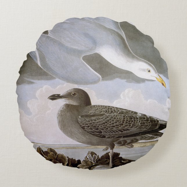 Audubon: Herring Gull Round Pillow (Front)