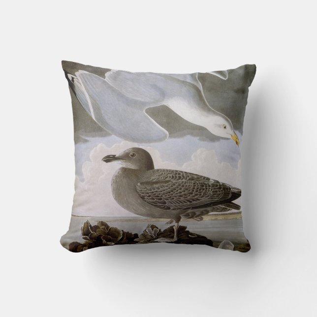 Audubon: Herring Gull Throw Pillow (Front)