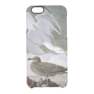 Audubon: Herring Gull Clear iPhone 6/6S Case