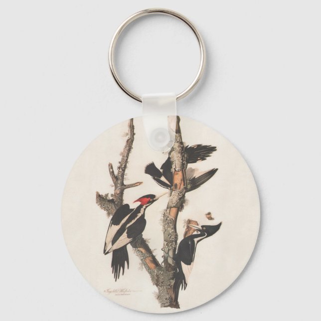 Audubon Ivory-Billed Woodpecker Keychain (Front)