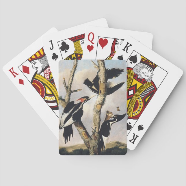 Audubon Ivory-Billed Woodpecker Painting Poker Cards (Back)