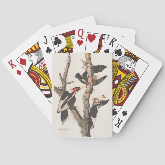 Audubon Ivory-Billed Woodpecker Poker Cards (Back)