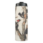 Audubon Ivory-Billed Woodpecker Thermal Tumbler