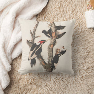 Audubon Ivory-Billed Woodpecker Throw Pillow