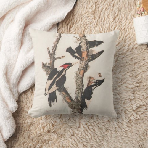 Audubon Ivory_Billed Woodpecker Throw Pillow