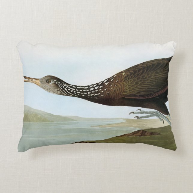Audubon: Limpkin Accent Pillow (Front)