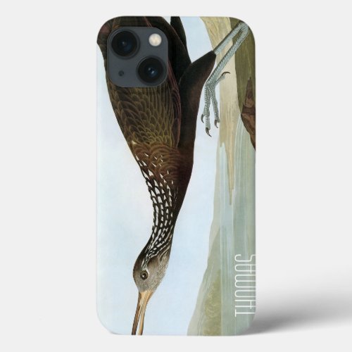 Audubon Limpkin iPhone 13 Case