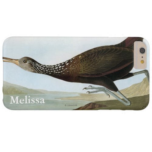 Audubon Limpkin Barely There iPhone 6 Plus Case