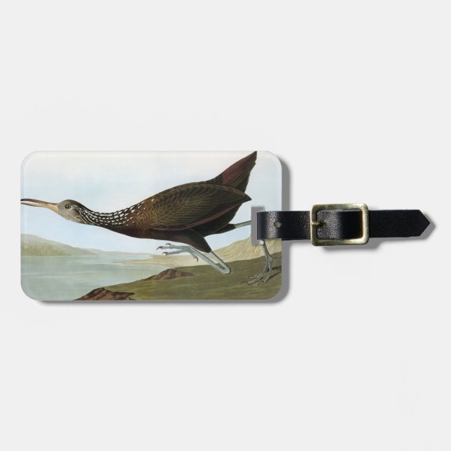 Audubon: Limpkin Luggage Tag (Front Horizontal)