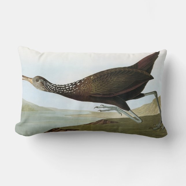 Audubon: Limpkin Lumbar Pillow (Front)