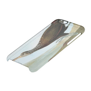 Audubon: Limpkin Clear iPhone 6/6S Case