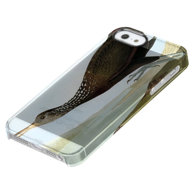 Audubon: Limpkin Uncommon iPhone Case (Bottom)