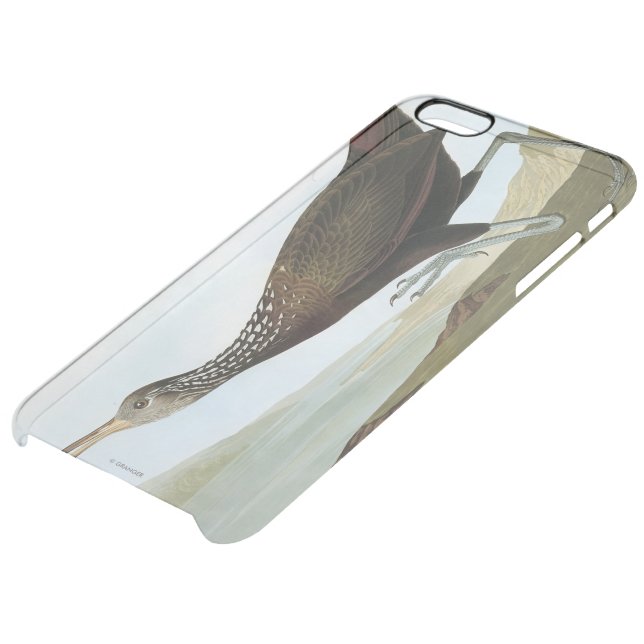 Audubon: Limpkin Uncommon iPhone Case (Bottom)