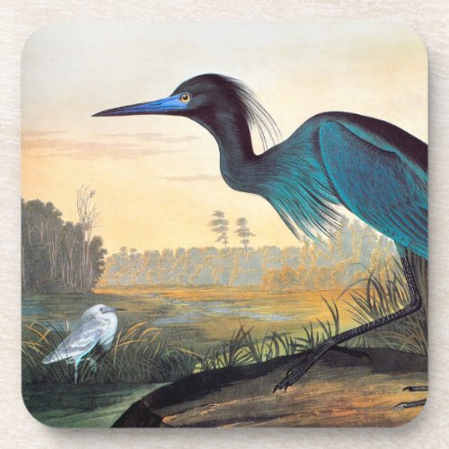 Audubon Little Blue Heron Beverage Coaster