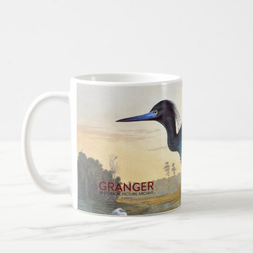 Audubon Little Blue Heron Coffee Mug