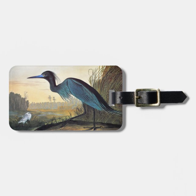 Audubon: Little Blue Heron Luggage Tag (Front Horizontal)