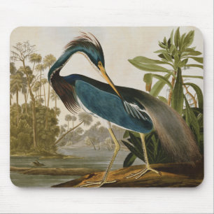 Audubon Little Blue Heron Mouse Pad