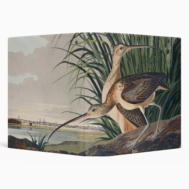 Audubon Long-Billed Curlew Bird 3 Ring Binder (Background)
