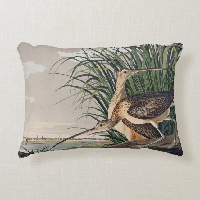 Audubon Long-Billed Curlew Bird Accent Pillow (Front)