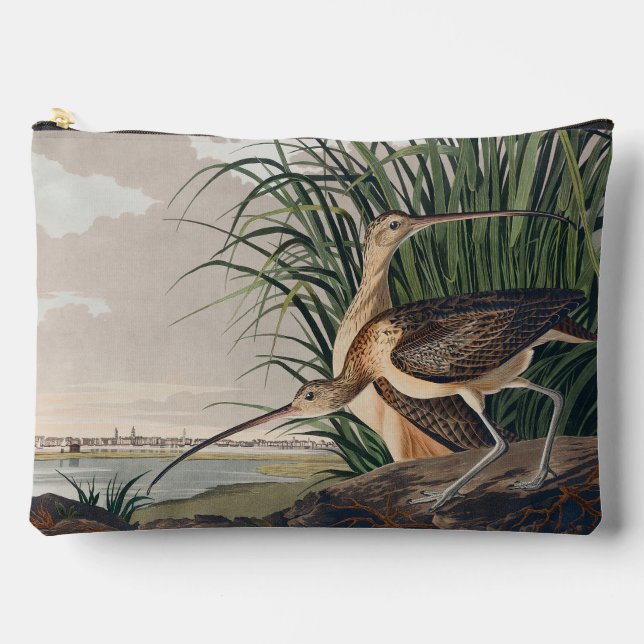 Audubon Long-Billed Curlew Bird Accessory Pouch (Front)