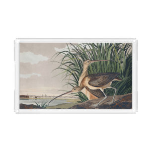 Audubon Long-Billed Curlew Bird Acrylic Tray