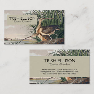 Audubon Long-Billed Curlew Bird Business Card