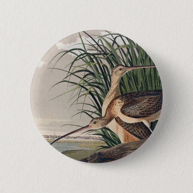 Audubon Long-Billed Curlew Bird Button (Front)