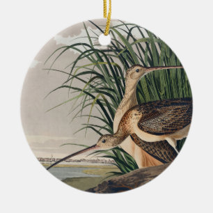 Audubon Long-Billed Curlew Bird Ceramic Ornament