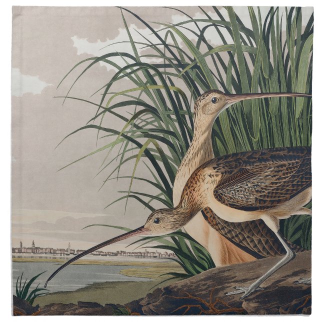 Audubon Long-Billed Curlew Bird Cloth Napkin (Front)