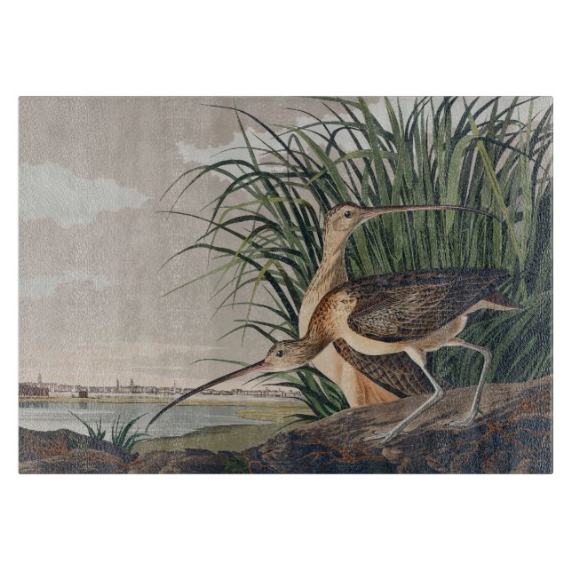 Audubon Long-Billed Curlew Bird Cutting Board (Front)