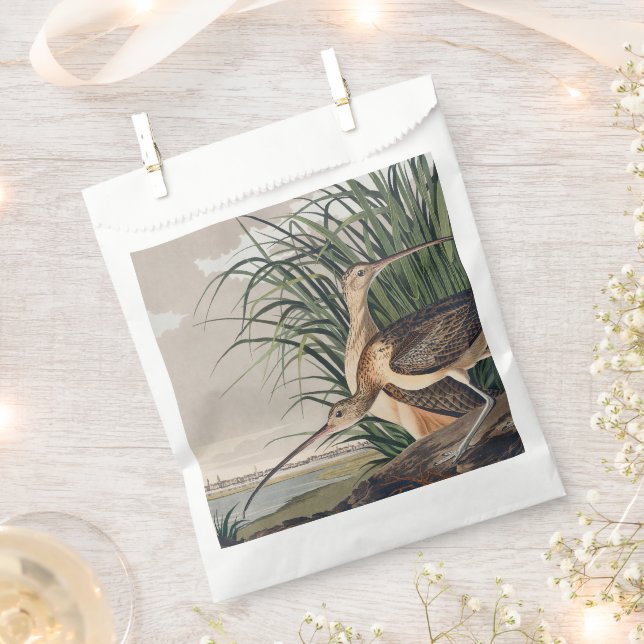 Audubon Long-Billed Curlew Bird Favor Bag (Clipped)