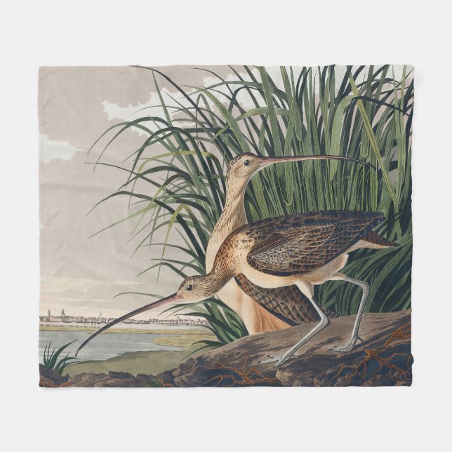 Audubon Long-Billed Curlew Bird Fleece Blanket (Front (Horizontal))
