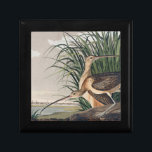 Audubon Long-Billed Curlew Bird Gift Box<br><div class="desc">Audubon Birds - The Long-Billed Curlew John James Audubon created this beautiful long-billed curlew bird illustration with Charleston's skyline in the distance. The long-billed curlew is a sandpiper, and the drawing is a reproduction based on an original aquatint engraving with hand coloring. It was first published in the original Birds...</div>