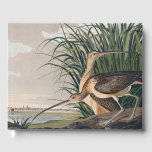 Audubon Long-Billed Curlew Bird Guest Book