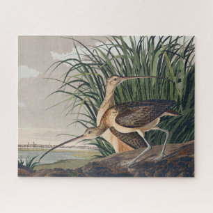 Audubon Long-Billed Curlew Bird Jigsaw Puzzle