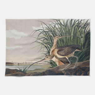 Audubon Long-Billed Curlew Bird Kitchen Towel