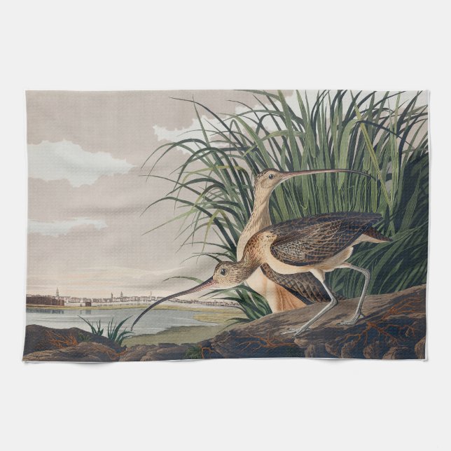 Audubon Long-Billed Curlew Bird Kitchen Towel (Horizontal)
