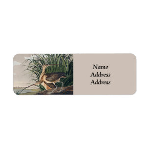 Audubon Long-Billed Curlew Bird Label