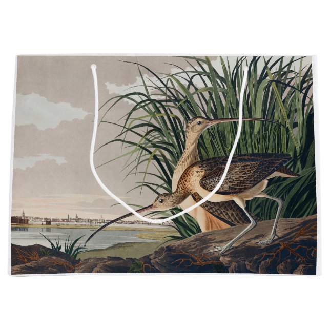 Audubon Long-Billed Curlew Bird Large Gift Bag (Front)