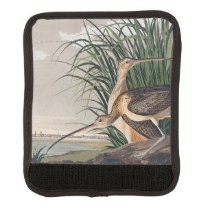 Audubon Long-Billed Curlew Bird Luggage Handle Wrap