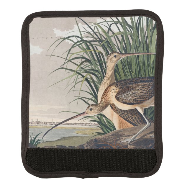 Audubon Long-Billed Curlew Bird Luggage Handle Wrap (Front)