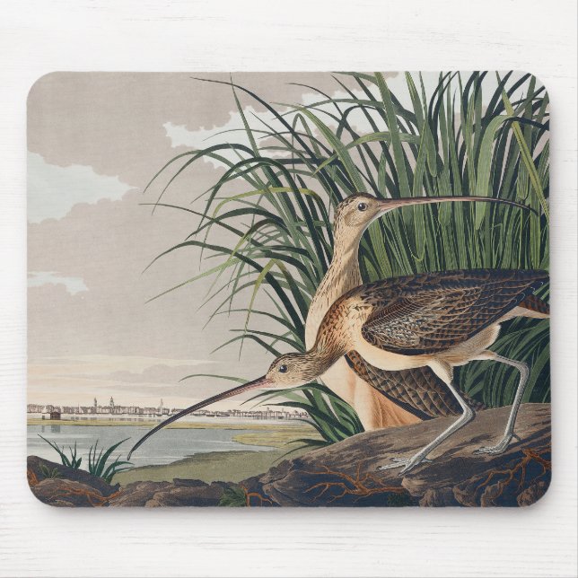 Audubon Long-Billed Curlew Bird Mouse Pad (Front)