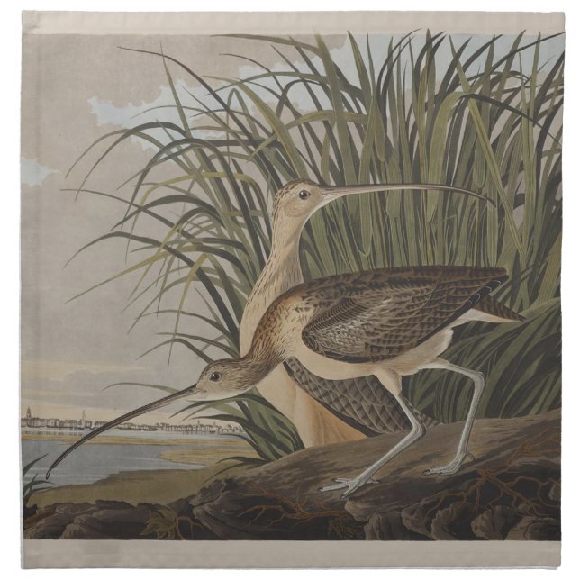 Audubon Long-Billed Curlew Bird Napkin (Front)