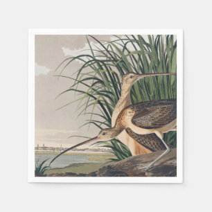 Audubon Long-Billed Curlew Bird Napkins