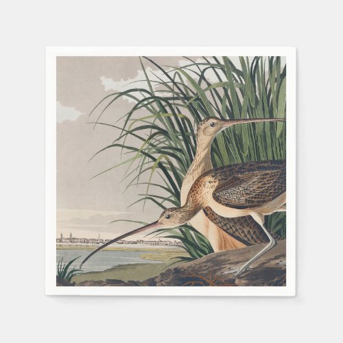 Audubon Long_Billed Curlew Bird Napkins