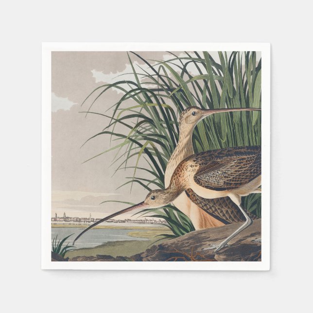Audubon Long-Billed Curlew Bird Napkins (Front)