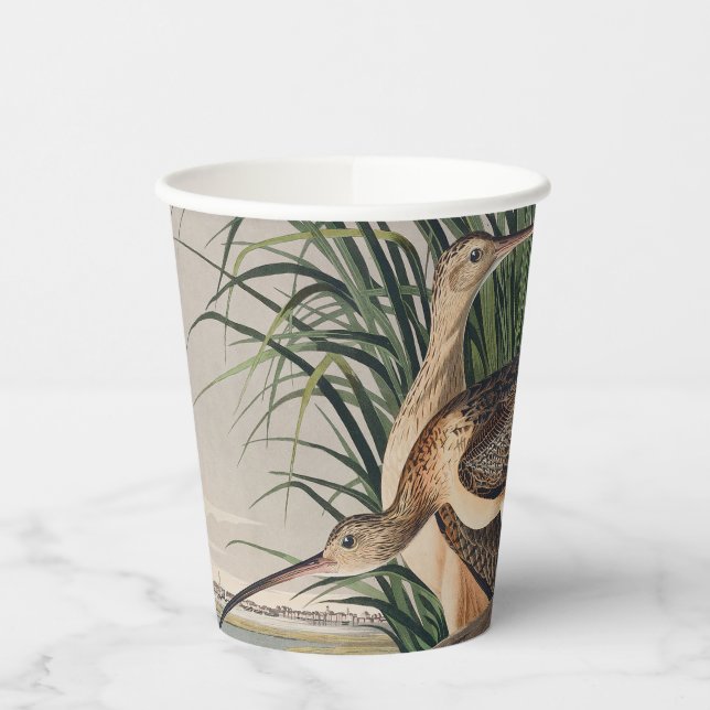 Audubon Long-Billed Curlew Bird Paper Cups (Left)