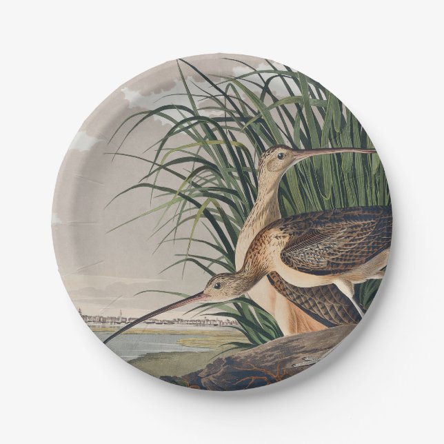 Audubon Long-Billed Curlew Bird Paper Plates (Front)