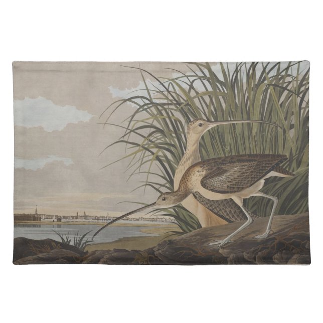 Audubon Long-Billed Curlew Bird Placemat (Front)