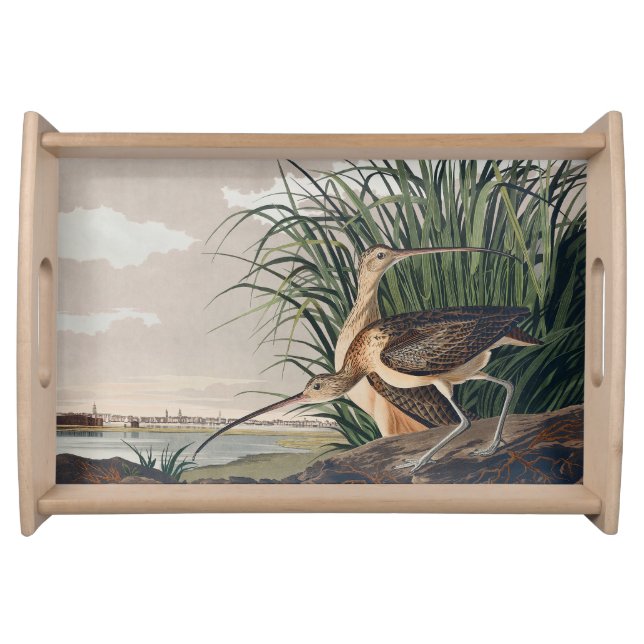 Audubon Long-Billed Curlew Bird Serving Tray (Front)